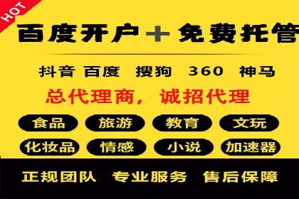 百度广告投放技巧与案例分享